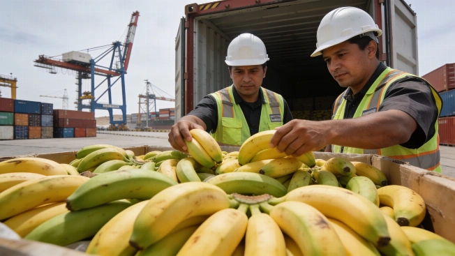 El megapuerto de Chancay reduce costos y tiempo para exportar bananas a China Agencia La Provincia