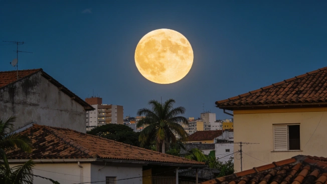 La Luna en fase llena: datos y calendario lunar de agosto en Brasil Agencia La Provincia